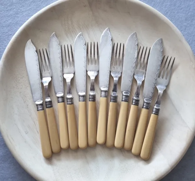 Set of 6  fish knives and forks with bone handles. Makers mark - HHEPNS