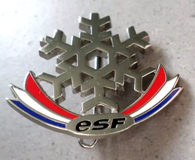 BROCHE DE SKI nouvelle version / FLOCON ESF / INSIGNE MEDAILLE BREVET no pins