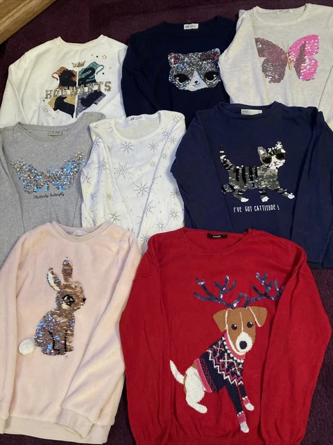 girl’s jumper & tops bundle age 9-10 years (next, H&M, Harry Potter, Bunny, Cat