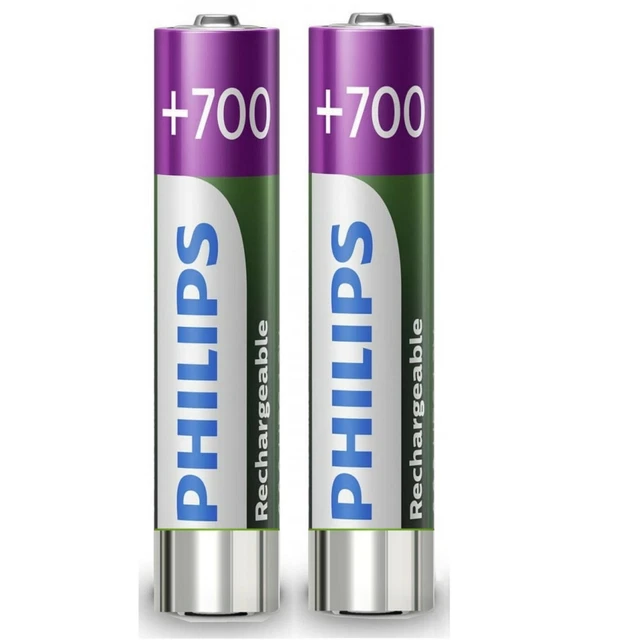 Pack de 2 piles rechargeables Panasonic Evolta AAA LR03