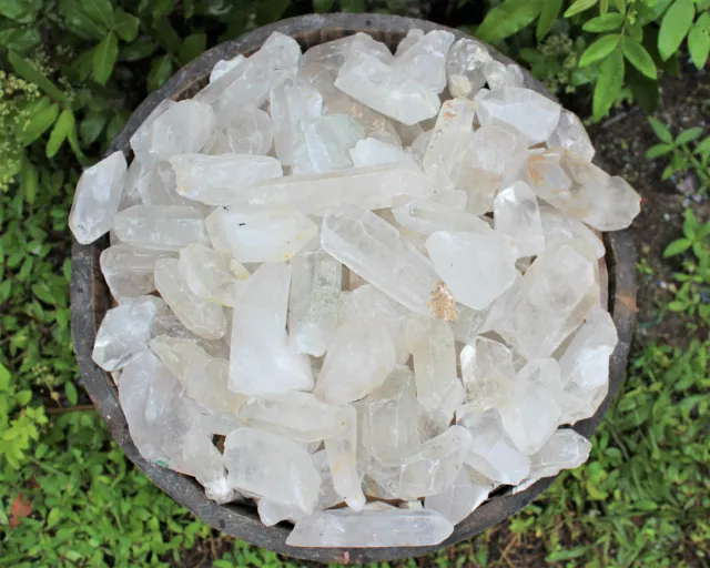 Wholesale CLEARANCE Bulk Lot 1/2 lb (8 oz) Rough Natural Quartz Crystal Points