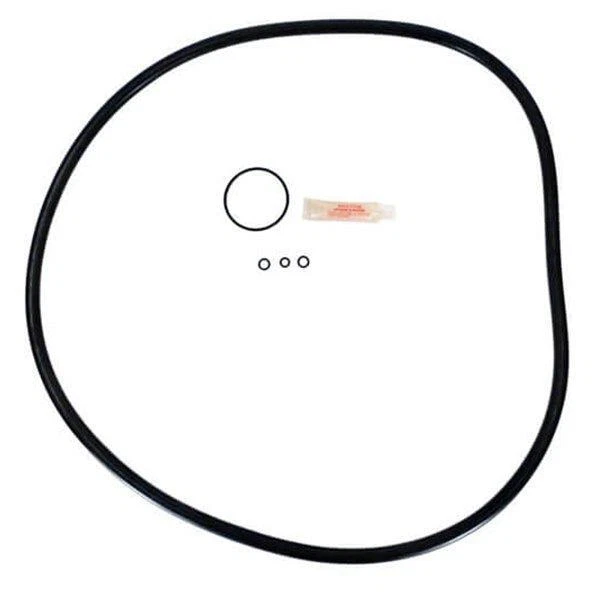 HAYWARD MICROCLEAR DE Filter Oring Kit (APCK1153) 25