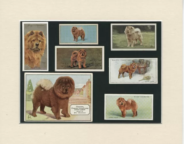 Chow Chow Original Old Dog Collectable Cards Ready Mounted Great Gift