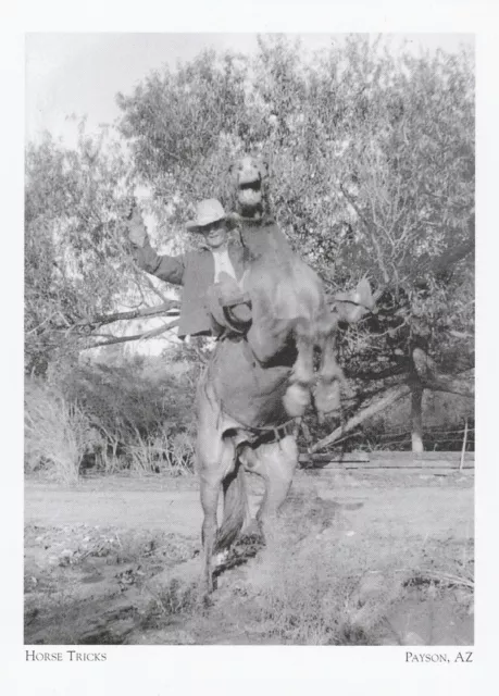 *Arizona Postcard-Payson Cowboys..."Horse Tricks"  -*Payson- (A325)