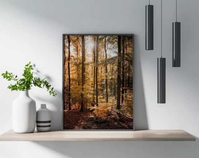 Autumn Forest Photography Poster Premium Quality Choose your Size