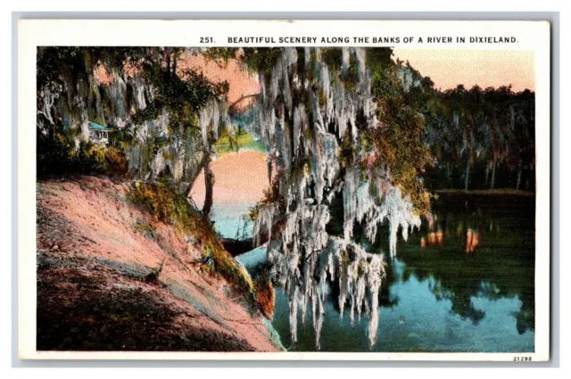 Postcard Beautiful Scenery Along the Banks of a River in Dixieland White Border