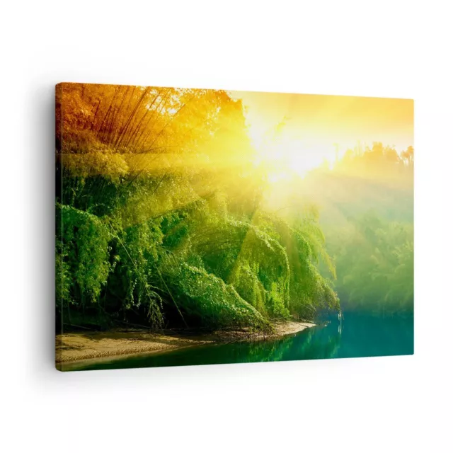 Canvas Print 70x50cm Wall Art Picture Tropics Trees River Small Framed Artwork