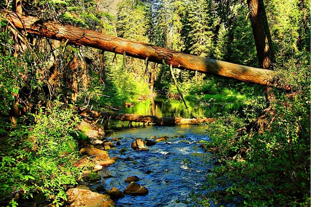 Build your dream home or retirement place  One-acre MODOC COUNTY