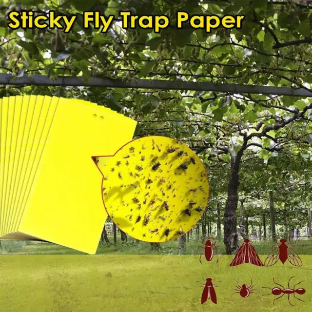 30Pcs Yellow Sticky Fly Trap Paper Traps Fruit Flies Insect Aphids Glue Catcher