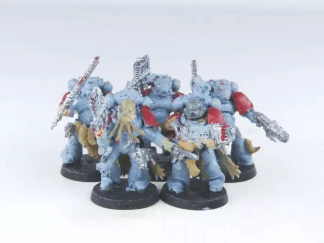 (6421) Grey Hunters Pack Space Wolves Adeptus Astartes 40k 30k Warhammer