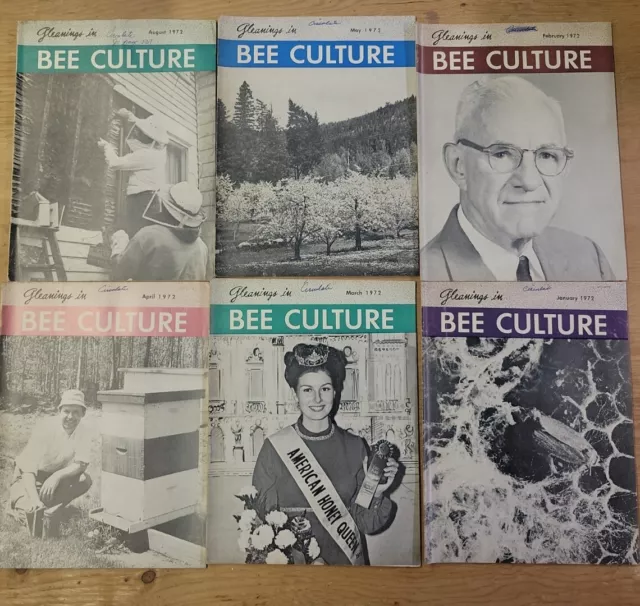 Gleanings in Bee Culture Lot of 6 Beekeeping Magazines 1972  Set BEE5