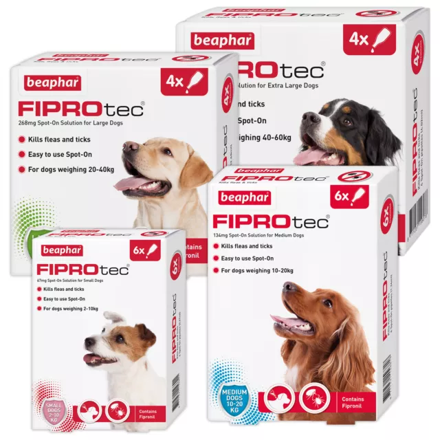 BEAPHAR FIPROtec SPOT ON FLEA TICK TREATMENT Solution S M L XL Dog/Cat Fipronil