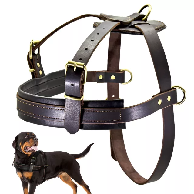 Genuine Leather Dog Harness No Pull Adjustable for Medium Large Dogs Rottweiler