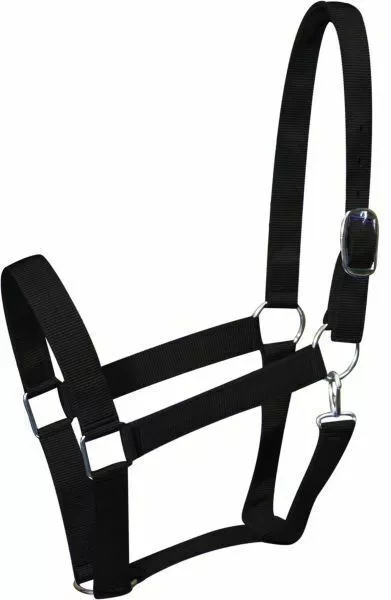 DRAFT HORSE Size 1.5" Nylon HALTER