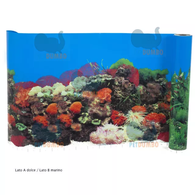 Sfondo esterno per acquario doppia faccia Dolce/Mare Misure 100x60 cm