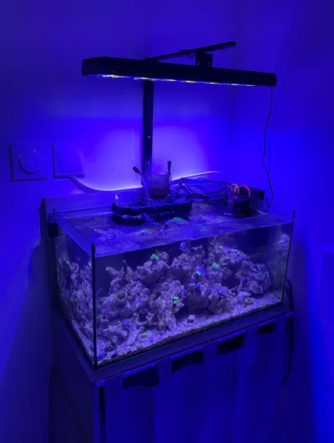Shannon50 Marine LED Aquarium Light Nano Fish Tank 24" Coral Reef Saltwater Tank