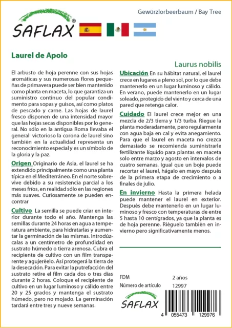 SAFLAX Set regalo - Laurel de Apolo - 6 semillas - Laurus 3