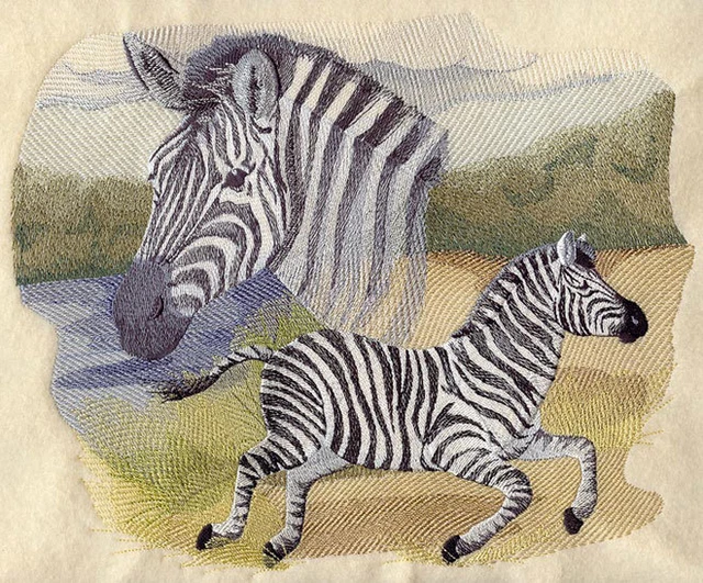 Embroidered Sweatshirt - Spirit of the Zebra J4091