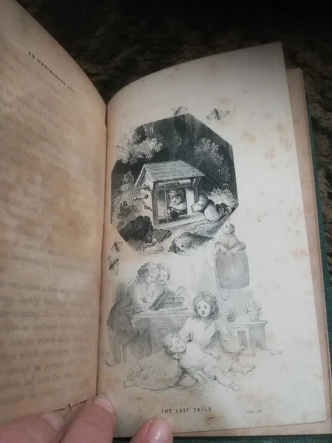 Libro Antico 1863 Wings And Stings Con Stampe.