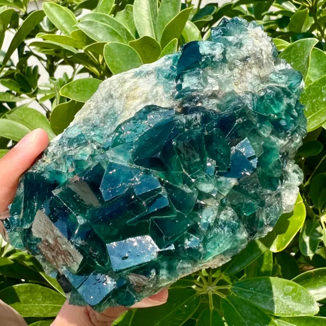 1.24LB NATURAL Green FLUORITE Quartz Crystal Cluster Mineral Specimen. 2