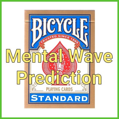 Bicycle Giochi di Prestigio Magia CONNECTIONS Trucchi Magici con le Carte Mazzo Bicycle 