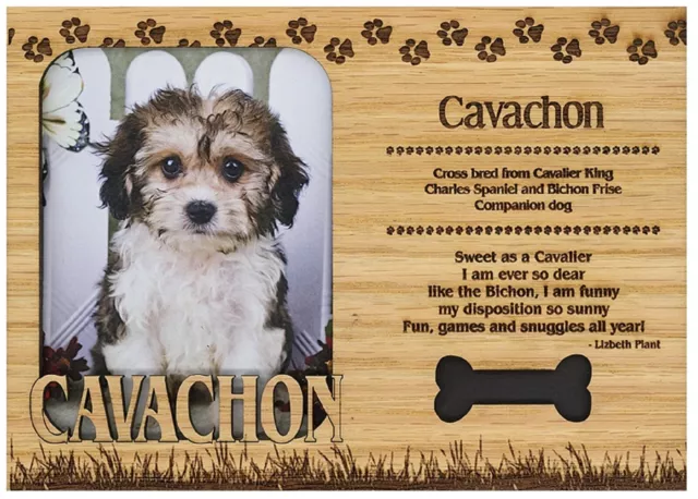Cavachon Engraved Wood Picture Frame Magnet