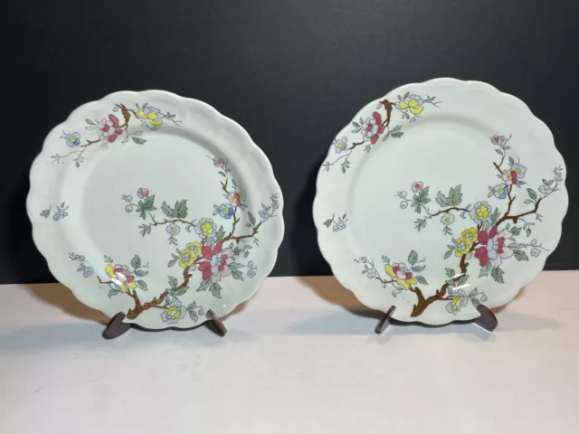 Two Vintage Booths CHINESE TREE  Salad Plate 7.5"  Fine English China