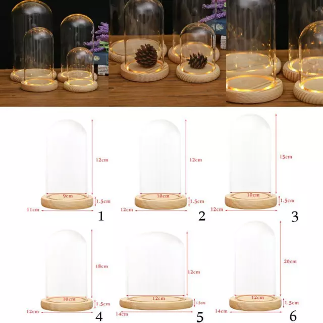 Decorative Cloche Bell Jar Display Case Clear Glass With LED Rustic Wooden Base