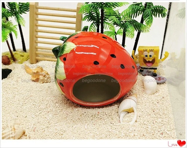 Hermit Crab Shelter Strawberry House Decorations Ornaments Aquarium Shrimp Decor