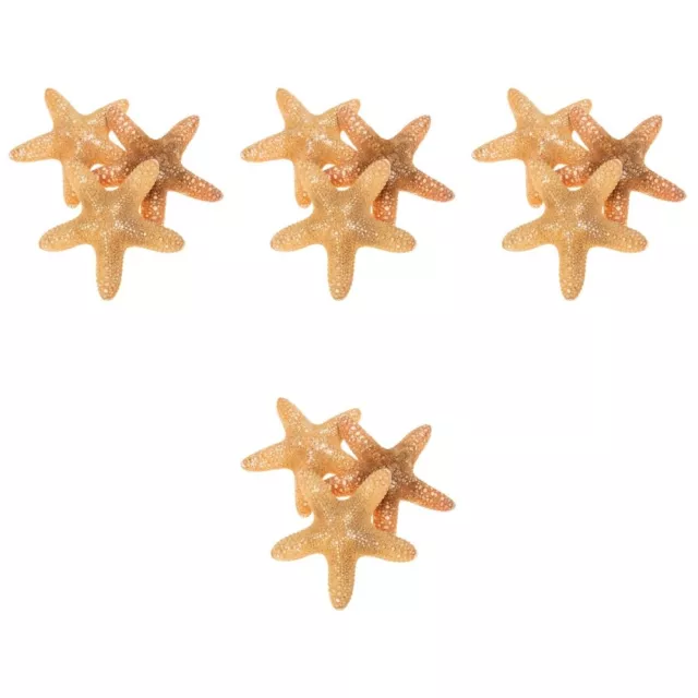 12 piezas decoración de estrellas de mar naturales decoración de mesa
