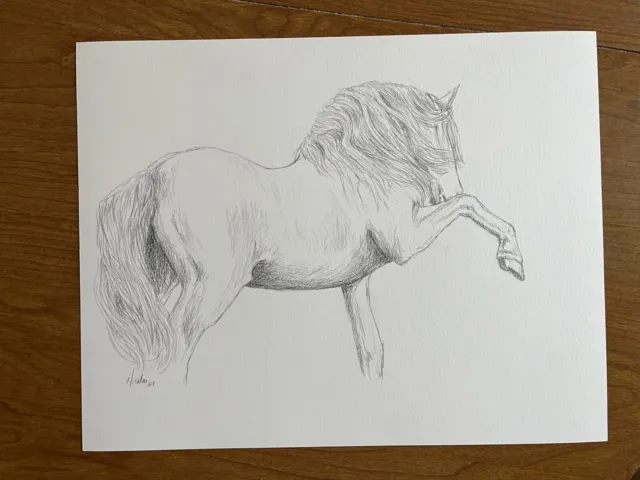 original Andalusian Horse pencil signed drawing 11x14 Graphite Sketch Horses Art