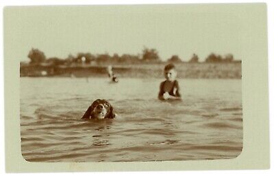 Photo SNAPSHOT - surface de l'eau tête chien curiosité  mer baignade enfant