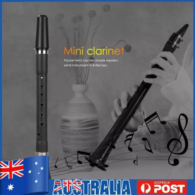 Clarinet B Flat Professional Performance Beginner Woodwind Musical Instrument