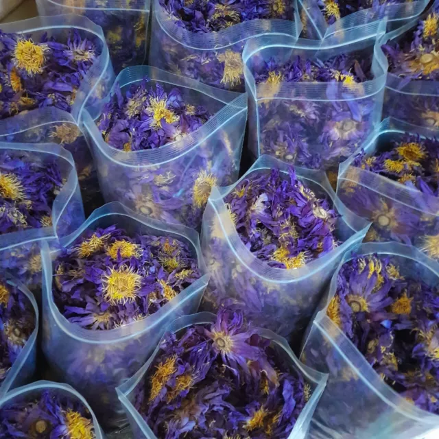 Flores de loto azul ninfaea caerulea secas 100 % escogidas a mano té de hierbas de Ceilán