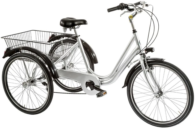 Hillmiles Bici Elettrica Triciclo Elettrico 24