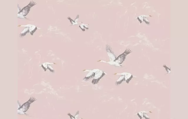 Animalia blush wallpaper birds cranes paste the wall price per roll