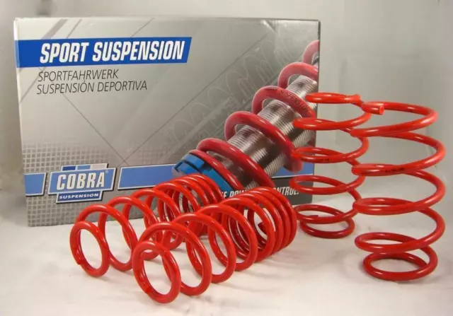 Cobra Suspension 20mm Lowering Springs for Honda Civic FK8 Type R 2017-2021