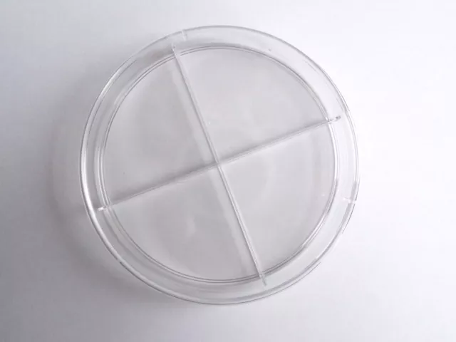 Boîte de Pétri Ronde 90mmx15mm 4 Compartiments - Plastique - Petri Dish  - SEM13