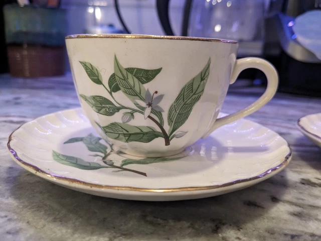 W.S. Tazas de té y platillos George de hoja verde