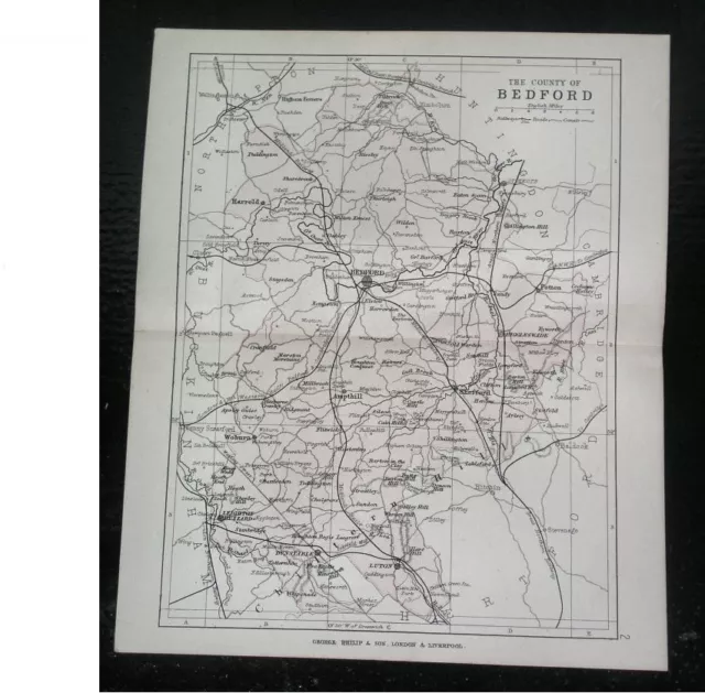 1884 Antique Map Of The County Of Bedford Bedfordshire / Luton / England