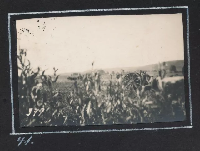 Foto auf Pappe - Feuerstellung Gegenstoss Argonnen Front Frankreich - 1.WK