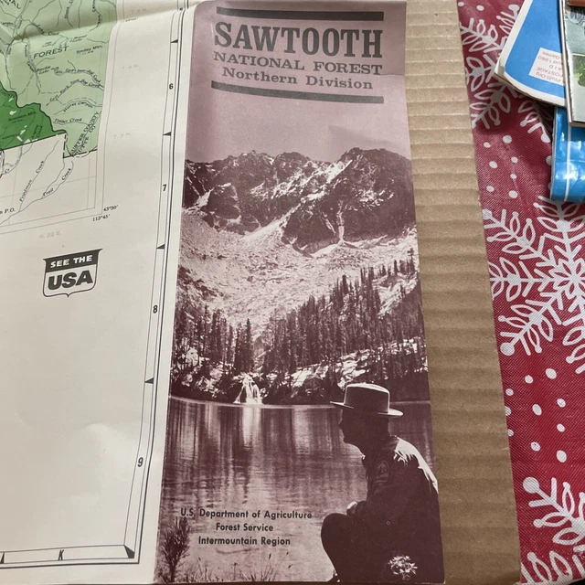 VINTAGE 1967 SAWTOOTH US National - Vintage 1967 Sawtooth US National Forest Service Motor.webp
