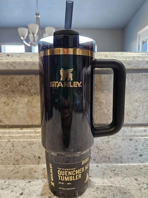 Stanley x Target x Wicked Flowstate Quencher Vaso de 40 oz Elphaba in