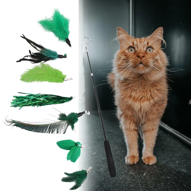 Jeu de jouets interactifs en plumes de chat télescopique Canne à pêche