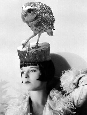 Antique Owl Hat Photo 427b Photo Oddleys Strange & Bizarre