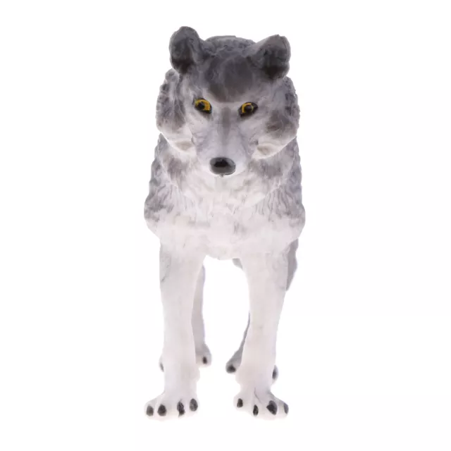 Simulation Nature Science Animal Model Wolf Figure Kid Educational Toy Gift