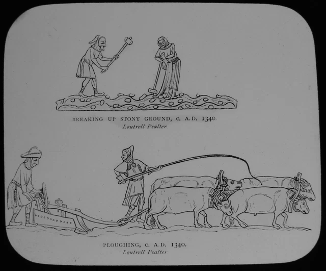 ANTIQUE Magic Lantern Slide MEDIEVAL FARMING 1340AD C1890 SERFS PLOUGHING
