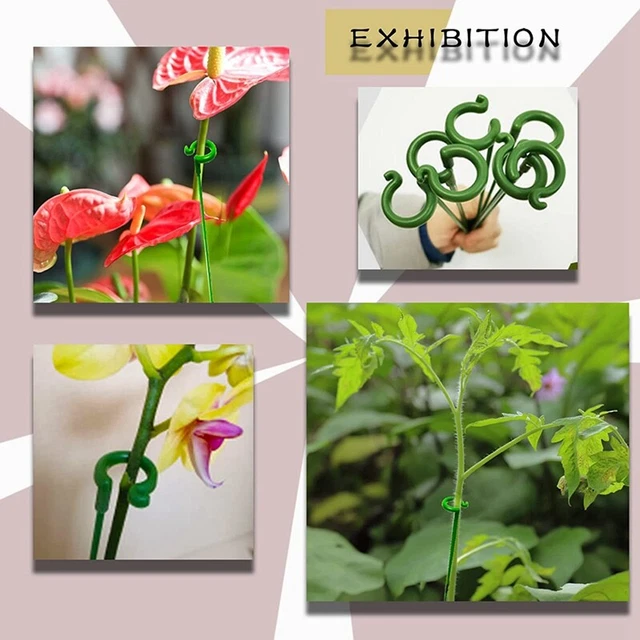6 pezzi 25 x 40 cm supporto per piante, pali per piante da giardino in