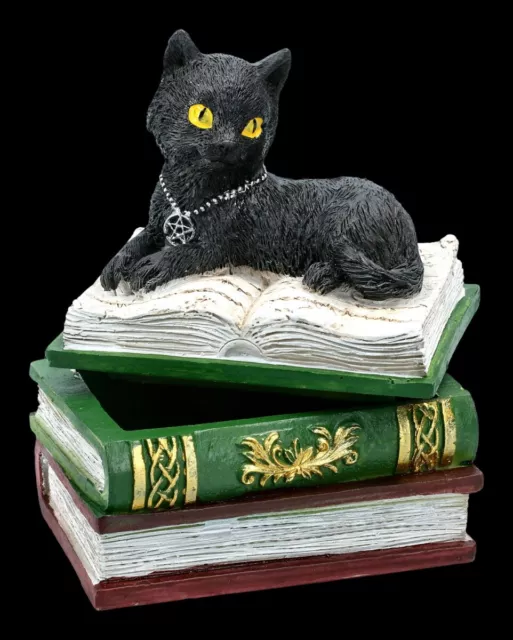 Cercueil - Chat Sur Verts Livres - Fantastique Chats Petite Boîte à Bijoux Déco