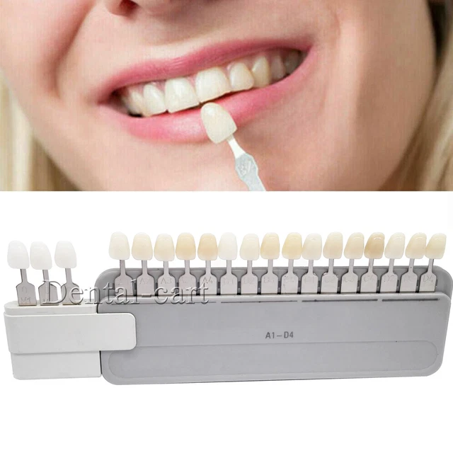 Dental Shade Guide Classical A1-D4 with Attached Bleached Extension 19 Colors